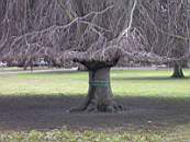 Idag 2004-02-08 033.jpg